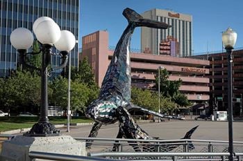 A statue of a whale in front of a city street